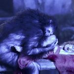 The Sexiest Horror Films Streaming